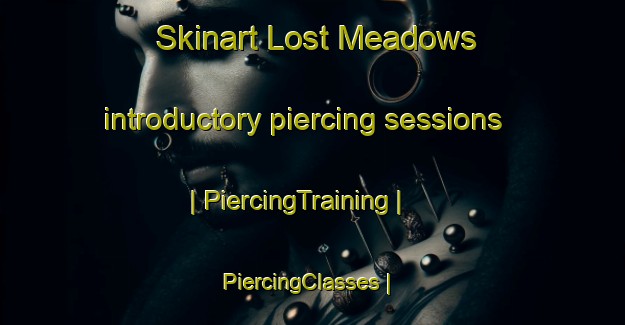 Skinart Lost Meadows introductory piercing sessions | PiercingTraining | PiercingClasses | SkinartTraining-United States